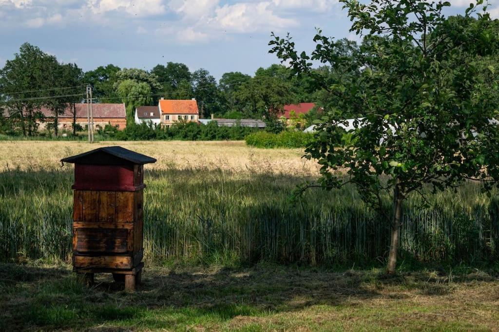 Agroturystyka Borow Prusice Kültér fotó