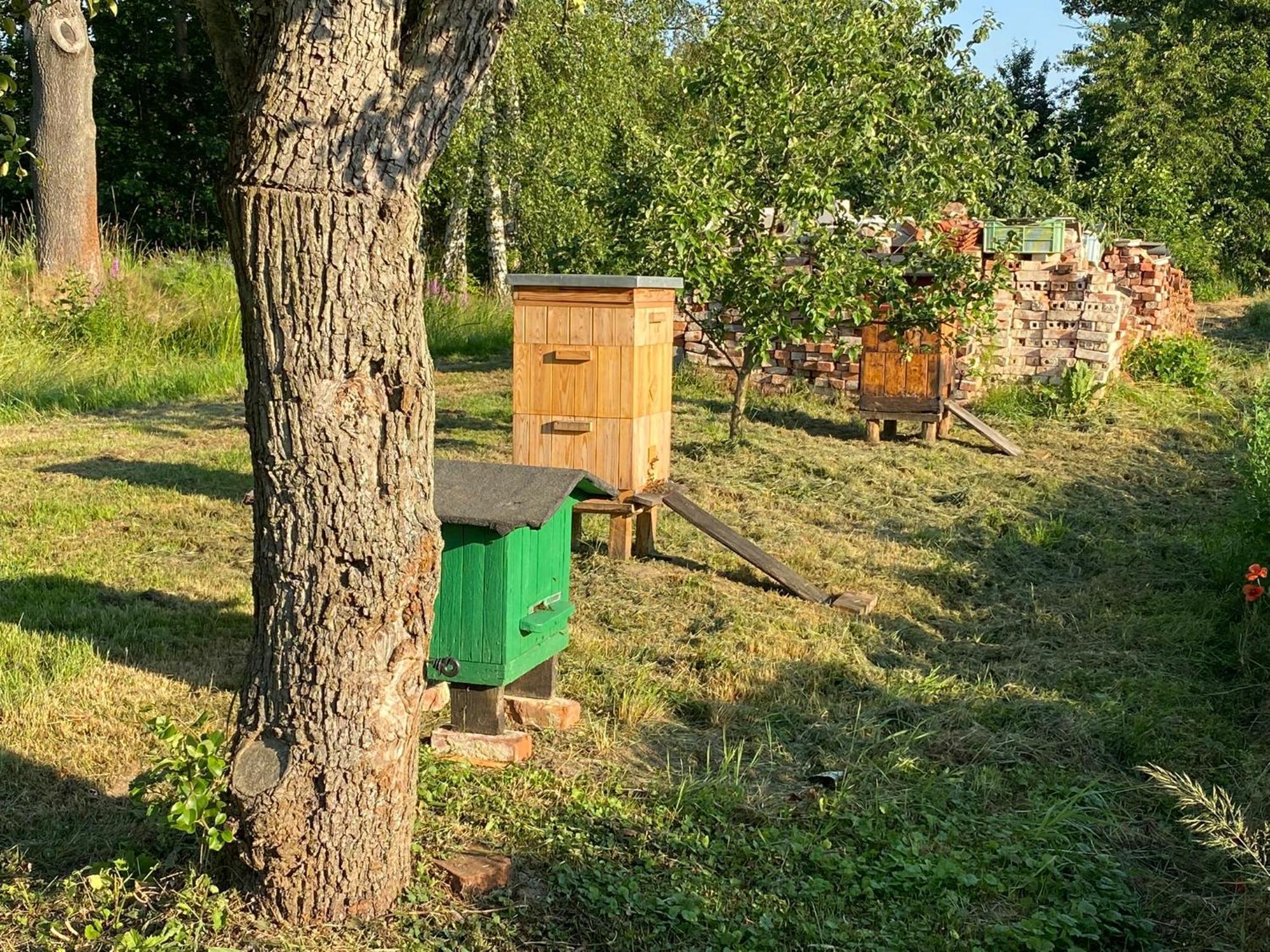 Agroturystyka Borow Prusice Kültér fotó